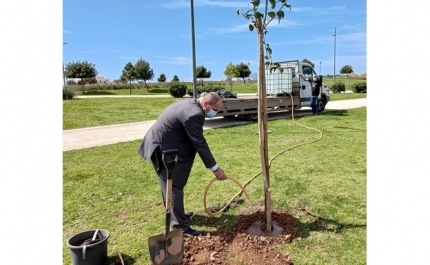 PRESIDENTE DA CÂMARA DE FARO ASSINALA DIA MUNDIAL DA ÁRVORE