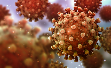 Covid-19: Vila do Bispo, Lagos e Albufeira entre os concelhos com maior incidência de infeções a 14 dias