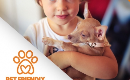 FORUM ALGARVE INAUGURA NOVO ESPAÇO PET FRIENDLY