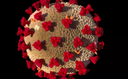 Covid-19: Algarve hoje com mais 22 novos casos e 1 vítima mortal