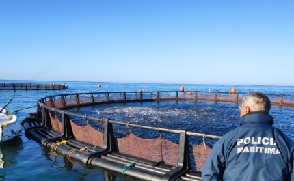 Polícia Marítima deteta seis embarcações na atividade da pesca no interior da Área Piloto de Produção Aquícola da Armona