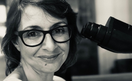 Investigadora da UAlg recebe prestigiada bolsa no valor de cerca de 2 milhões de euros