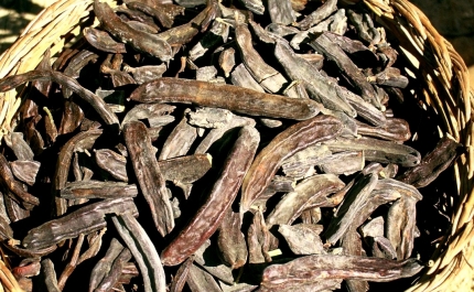 «Dieta Mediterrânica» dedica demonstração culinária à alfarroba