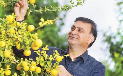 Seminários em Hortofruticultura - Dr. Tahir Khurshid - Agriculture NSW (New South Wales)