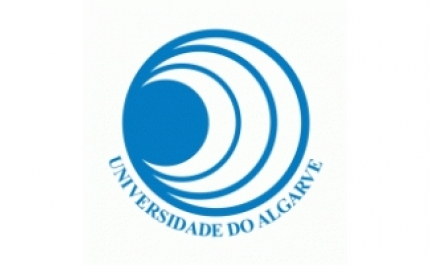 Cursos de verão da Universidade do Algarve atraem jovens de todo o país