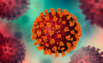 Covid-19: Algarve regista hoje mais 16 novos casos