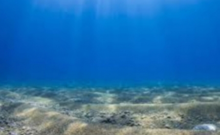 Oceanos dão o mote para festival de cinema a partir de quinta-feira em Faro
