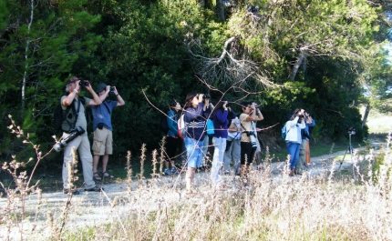 Algarve assume-se como local privilegiado para Observação se Aves e Turismo de Natureza