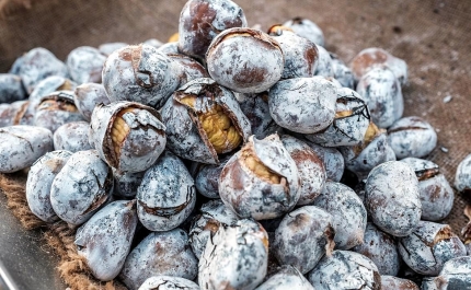 S. MARTINHO CELEBRADO COM OFERTA DE CASTANHAS E EXPOSIÇÃO DE ESPANTALHOS NO MERCADO DE PRODUTORES DE ALMANCIL