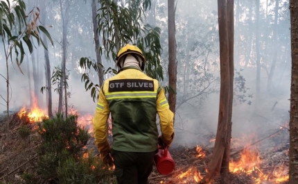 AMAL promove ação de Fogo Controlado