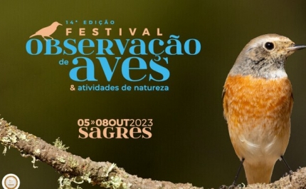 MAIOR EVENTO NACIONAL DEDICADO ÀS AVES E À NATUREZA ARRANCA AMANHÃ EM SAGRES