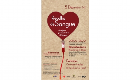 RECOLHA DE SANGUE É DIA 5 DE DEZEMBRO