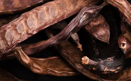 Apreendidos 113 quilos de alfarroba em Faro e Loulé