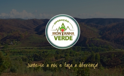 O tão aguardado regresso! 