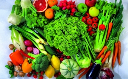 QUARTEIRA RECEBE SEMINÁRIO SOBRE REFEIÇÕES VEGETARIANAS PARA CRIANÇAS EM RESTAURAÇÃO COLETIVA