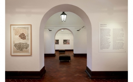 «Sombras e Outras Cores» de MANUEL BAPTISTA 