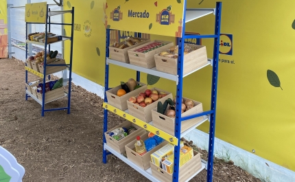 40 CRIANÇAS DE FARO PARTICIPARAM NO PROGRAMA TURMA IMBATÍVEL DO LIDL PORTUGAL 