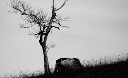 Audições para uma atriz para a próxima criação.