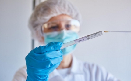 CÂMARA DE LOULÉ APOIA AS INSTITUIÇÕES NA TESTAGEM À COVID-19 AOS FUNCIONÁRIOS DOS LARES DE IDOSOS 