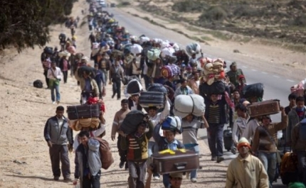 Migrações: Mais de 200 entidades estão disponíveis para receber refugiados