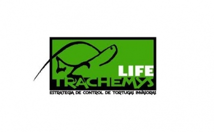 Libertação de Cágados na Quinta do Lago