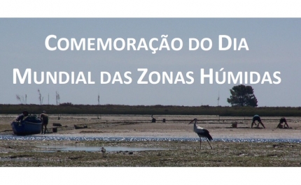 Tavira assinala Dia Mundial das Zonas Húmidas