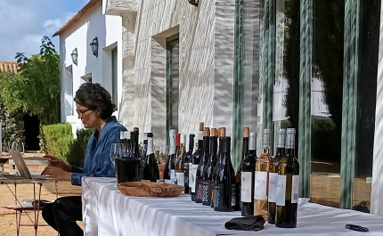 Jornalista Sarah Ahmed visita o Algarve numa iniciativa da Comissão Vitivinícola do Algarve 
