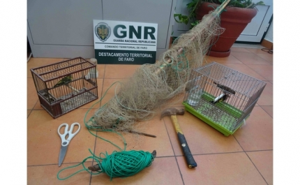 Faro – Detidos em flagrante por caça ilegal