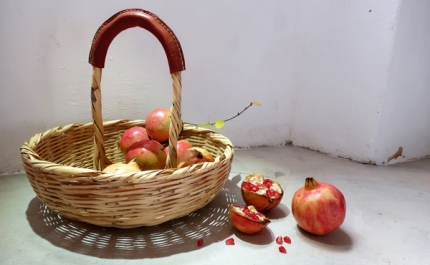 Exposição «Contentores de histórias»