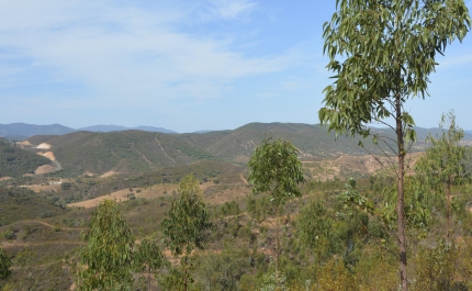 MUNICIPIO DE SILVES DISPONIBILIZA CARTOGRAFIA ATUALIZADA DA PERIGOSIDADE DE INCÊNDIO