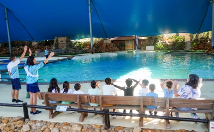 Zoomarine e ULS - Algarve proporcionam experiência especial a crianças e jovens com doença