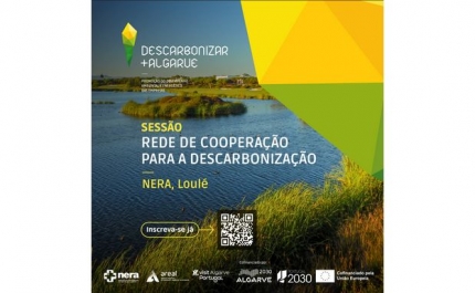 NERA LANÇA REDE DE COOPERAÇÃO PARA A DESCARBONIZAÇÃO