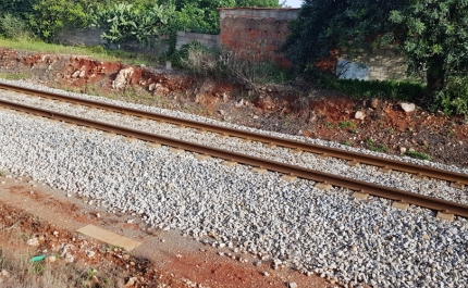 Covid-19: CP reduz circulação este fim de semana e nos dias 01 e de 05 a 08 de dezembro