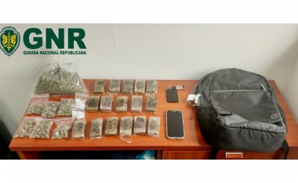 Silves – Detido por tráfico de estupefacientes