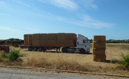 APOIO À ALIMENTAÇAO ANIMAL NOS CONCELHOS AFETADOS PELOS INCÊNDIOS JÁ INICIOU