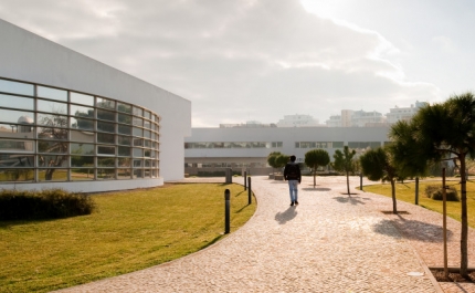 CENTER FOR WORLD UNIVERSITY RANKINGS COLOCA UNIVERSIDADE DO ALGARVE NO TOP MUNDIAL DAS UNIVERSIDADES