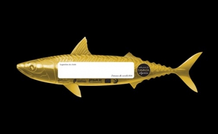 SEMANA DA CAVALA ALGARVIA EM ALBUFEIRA