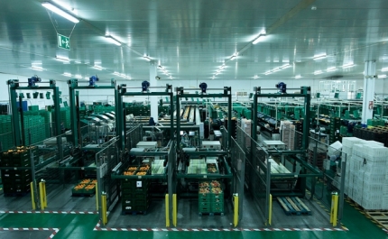 ALGARVE 2020 APOIA PME COM PROJETOS DE INVESTIGAÇÃO EM CO-PROMOÇÃO