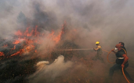 Incêndios: Fogo que começou em Monchique coloca habitações em risco em Portimão