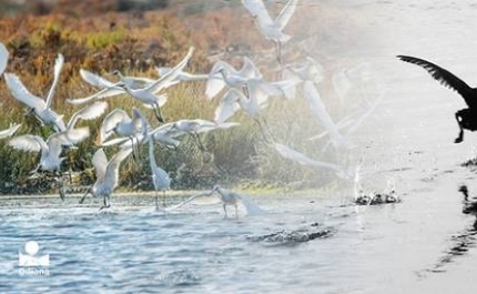 TRILHO DO CERRO DO BUFO COM EXPOSIÇÃO FOTOGRÁFICA 