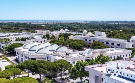 Universidade do Algarve novamente com taxa de colocação superior à média nacional