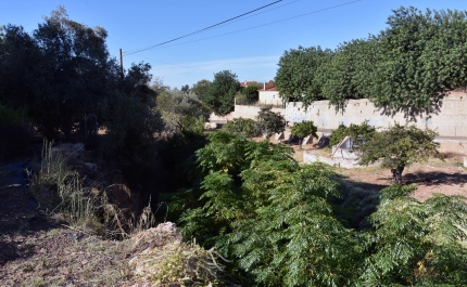 AUTARQUIA DE LOULÉ CRIA INFRAESTRUTURA PARA MELHORAR QUALIDADE AMBIENTAL DO CADOIÇO
