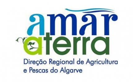 Condições Meteorológicas Adversas - Perigo de Incendio Rural - CDOS Faro