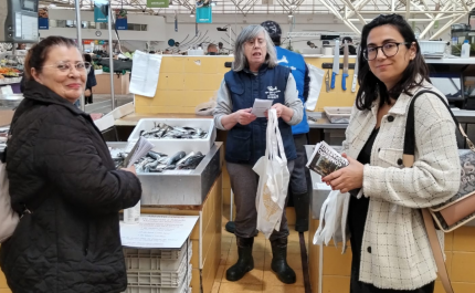 Saiba mais acerca dos Direitos dos Consumidores