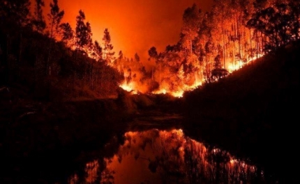 Incêndios | Ex-reitor da Universidade do Algarve João Guerreiro preside à comissão técnica