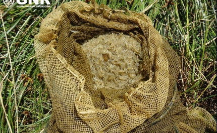 Três artes de pesca apreendidos no concelho de Silves