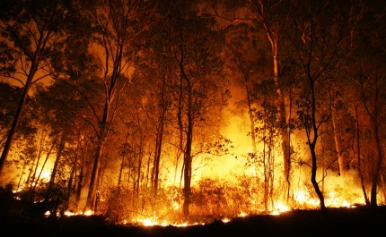MAI pede cuidado porque 50% dos fogos são provocados por negligência
