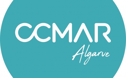 Parte significativa dos arrojamentos de cetáceos no Algarve tem ligação à pesca