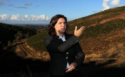 Zonas de Intervenção Florestal são o caminho para obter fundos comunitários