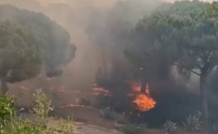 Declarações dos Presidentes da Infraquinta e da Infralobo após o incêndio 